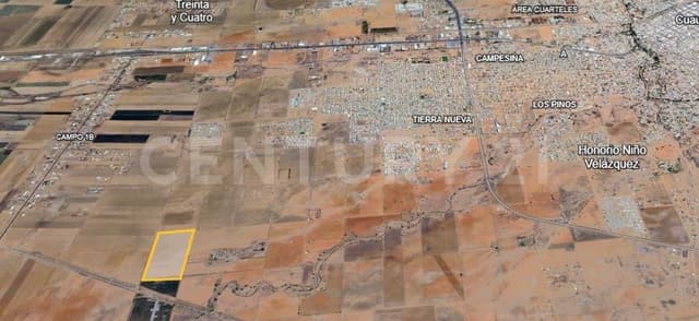 TERRRENO EN VENTA CAMPO 1B CD. CUAUHTEMOC, CHIHUAHUA.