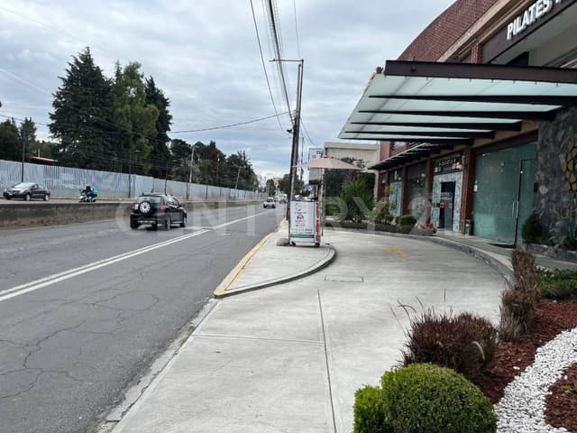 Local en Renta en Plaza del Carmen AV Técnologico, Metepec