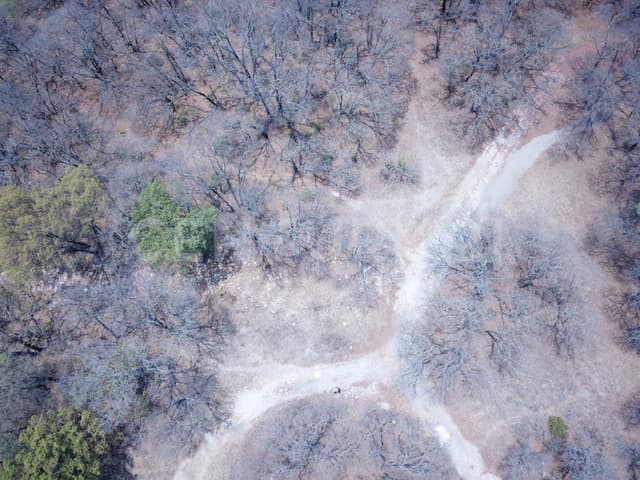 Terreno en venta de 1000 m2 Cruz de Sabinos Ciudad Ecológica