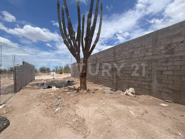 TERRENO EN VENTA EN LA PITAHAYA