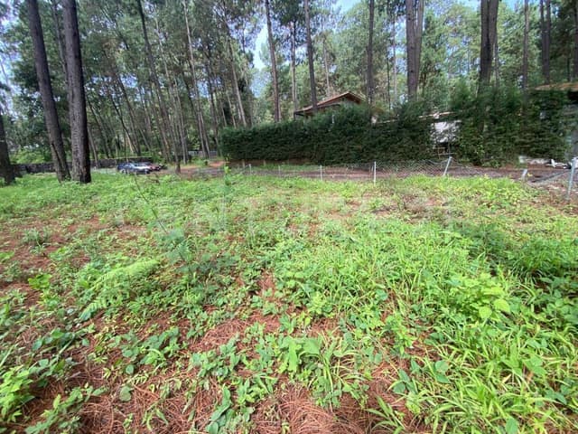 TERRENO EN VENTA CAMINO A CERRO GORDO, VALLE DE BRAVO