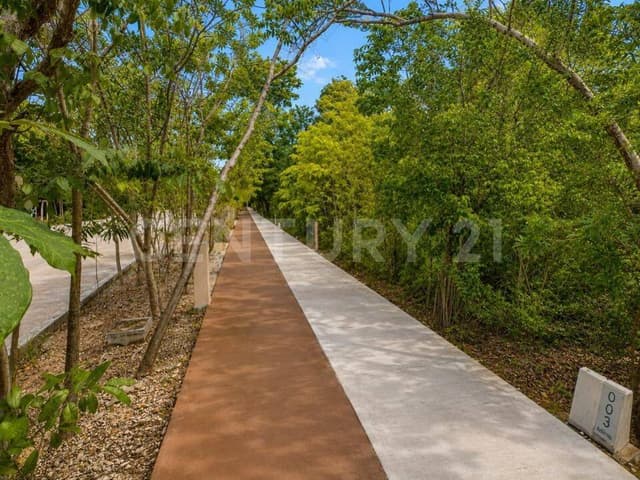 *Lote Residencial en Mayakoba Country Club*