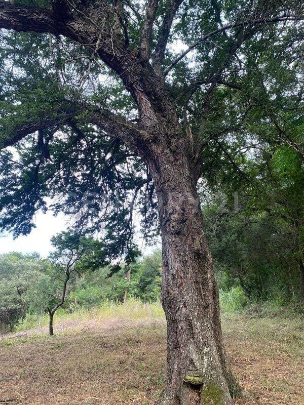 TERRENO CAMPESTRE EN VENTA EN SAN ROQUE, JUAREZ, NUEVO LEON