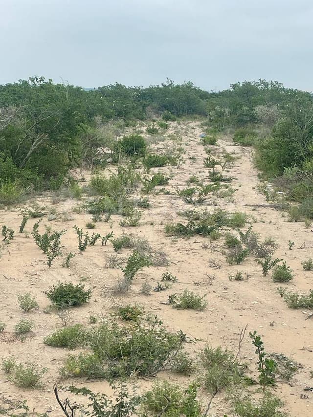 TERRENO EN VENTA EN COL. ZACATECAS EN PESQUERIA NUEVO LEON