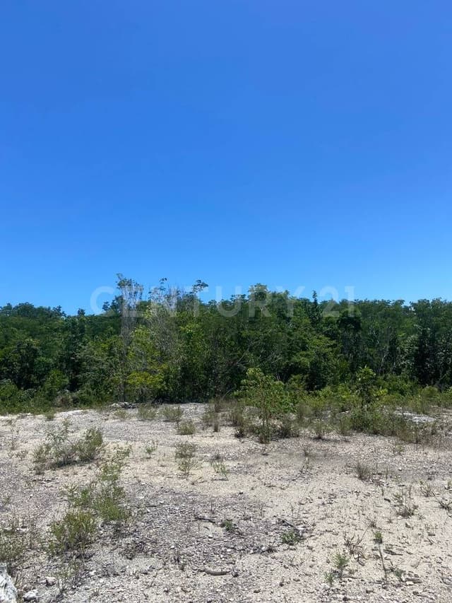 Terreno en Venta para Inversión, Playa del Carmen, Cancún Quintana Roo