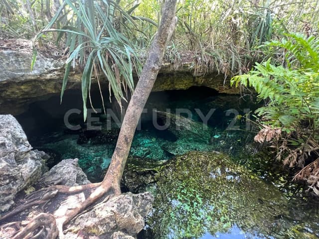 Inversión en Chemuyil terreno en venta, naturaleza y gran ubicación