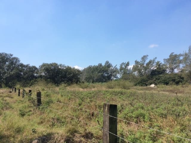 Terreno en Renta - 5