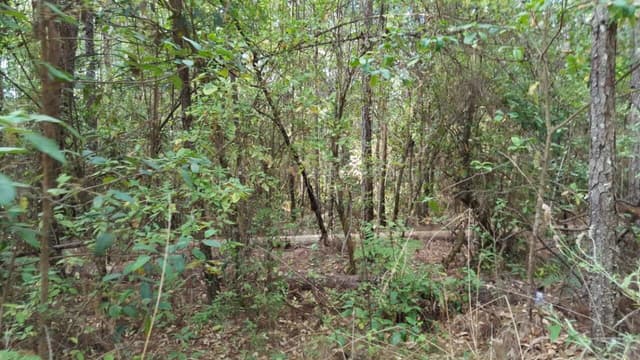 Terreno en Venta - 5