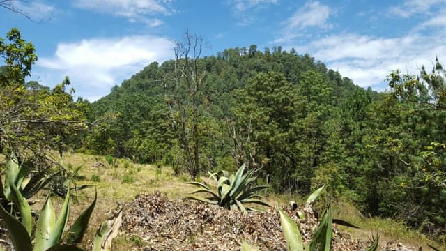 Terreno en Venta - 5