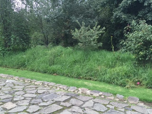 Terreno en venta L-5A