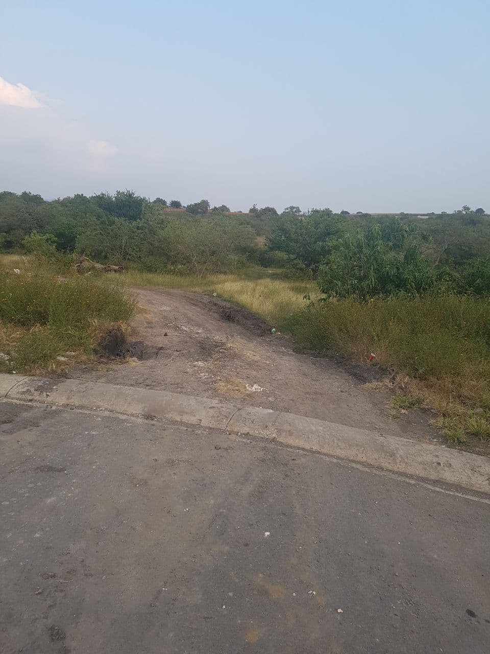 Fotos adicionales