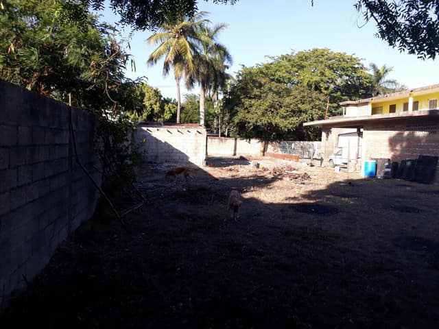Terreno en Renta, Col. Altamira Centro, Altamira