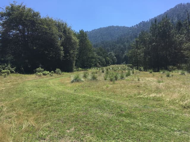 Terreno en Venta - 5