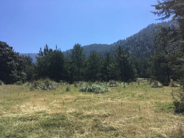 Terreno en Venta - 5