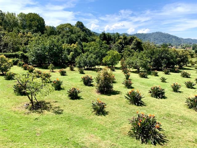 Terreno en Venta - 5