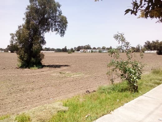 Terreno en Venta San Sebastián, Zumpango