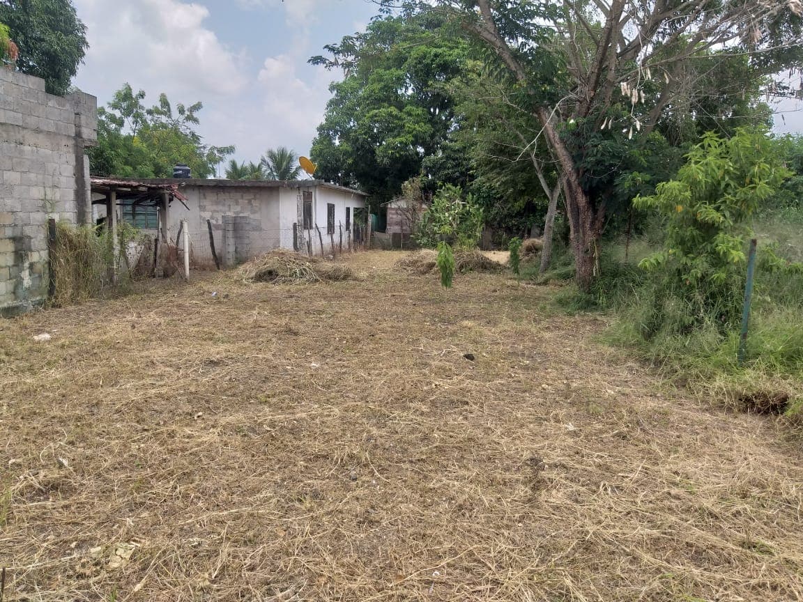 Fotos adicionales