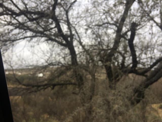 terreno San Miguel de Allende