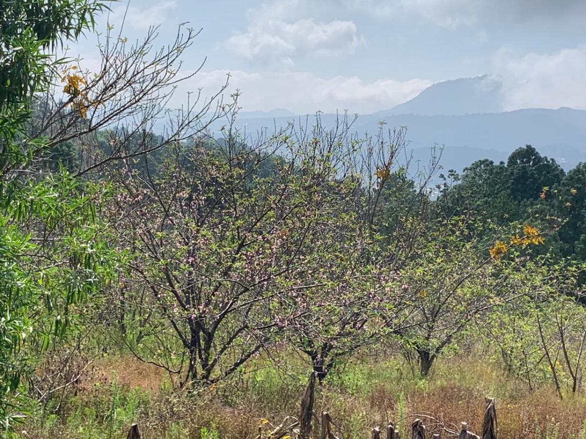 Fotos adicionales