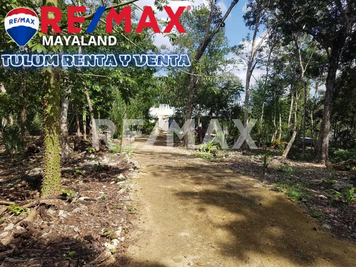 Fotos adicionales