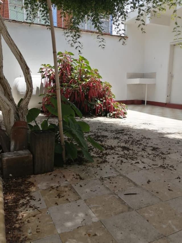 CASA EN EL EX-MARQUESADO SOBRE AV. PRINCIPAL