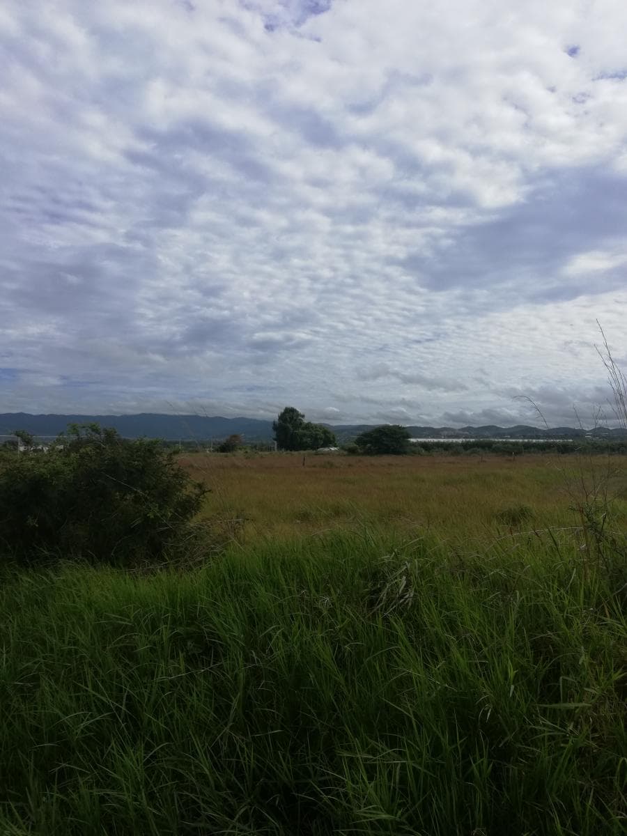 Fotos adicionales