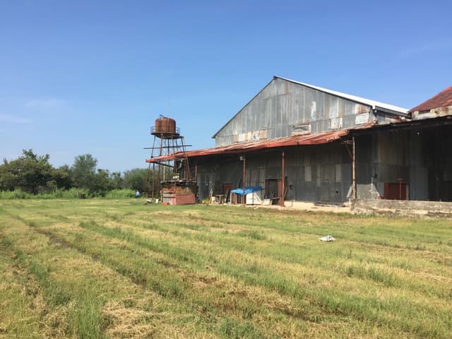 Bodega en Renta, Rancho Santa Gertrudis, Altamira