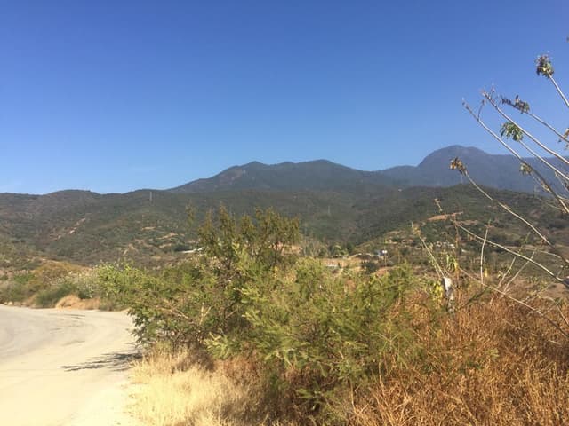 TERRENO EN VENTA EN GUADALUPE VICTORIA