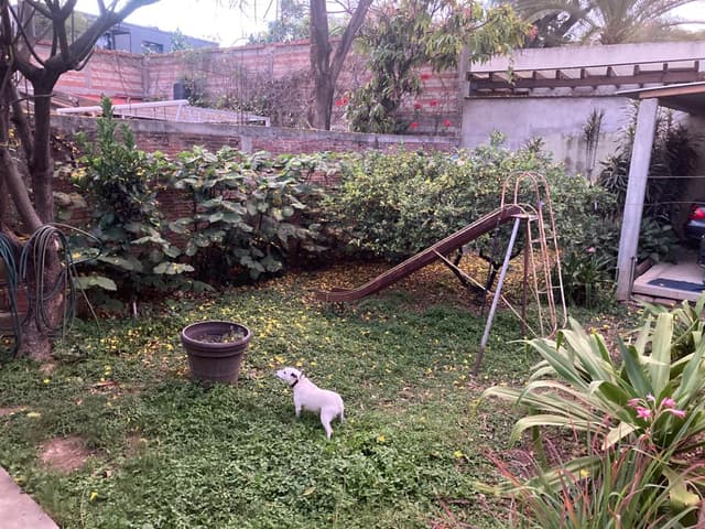 CASA EN LA CALLE ALCALA