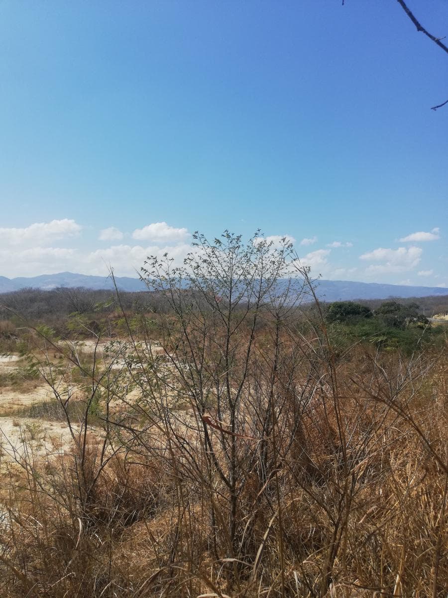 Fotos adicionales