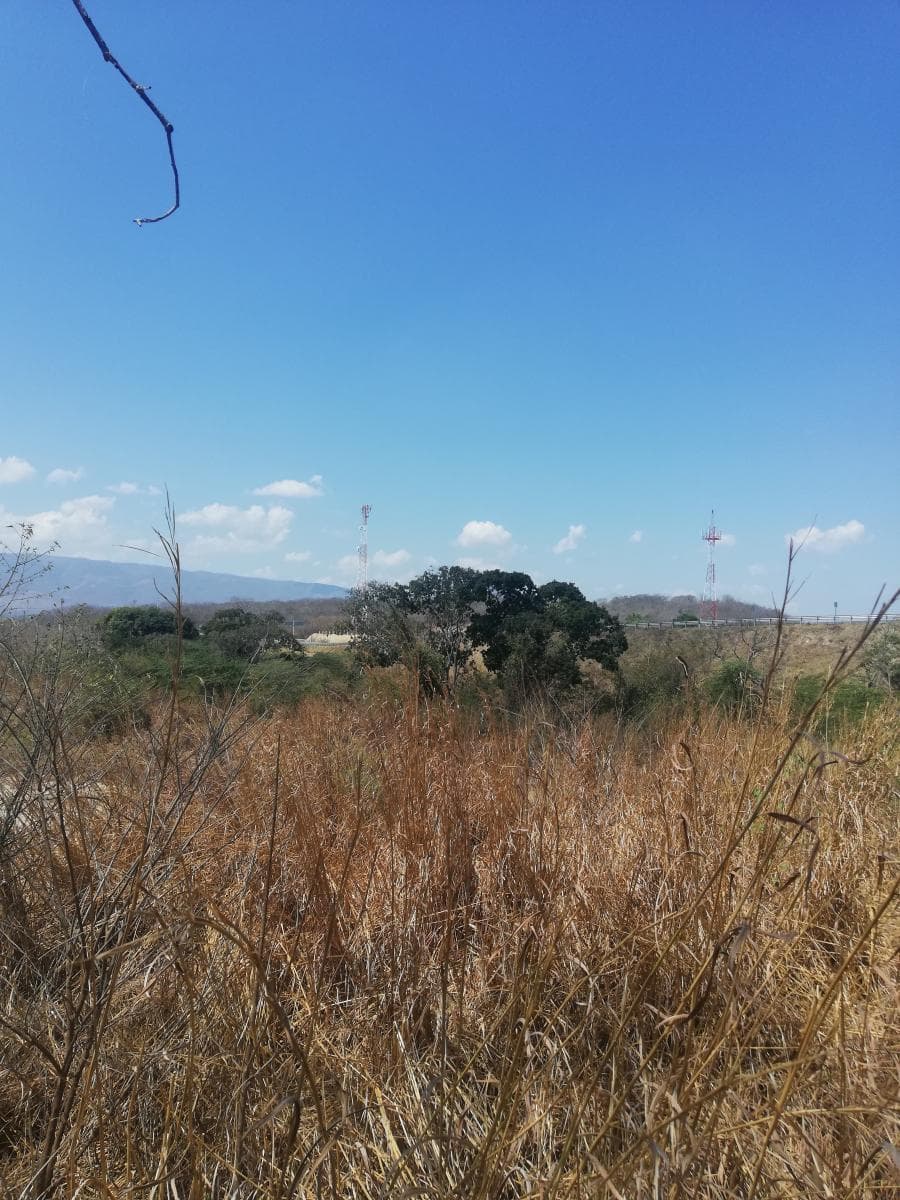 Fotos adicionales