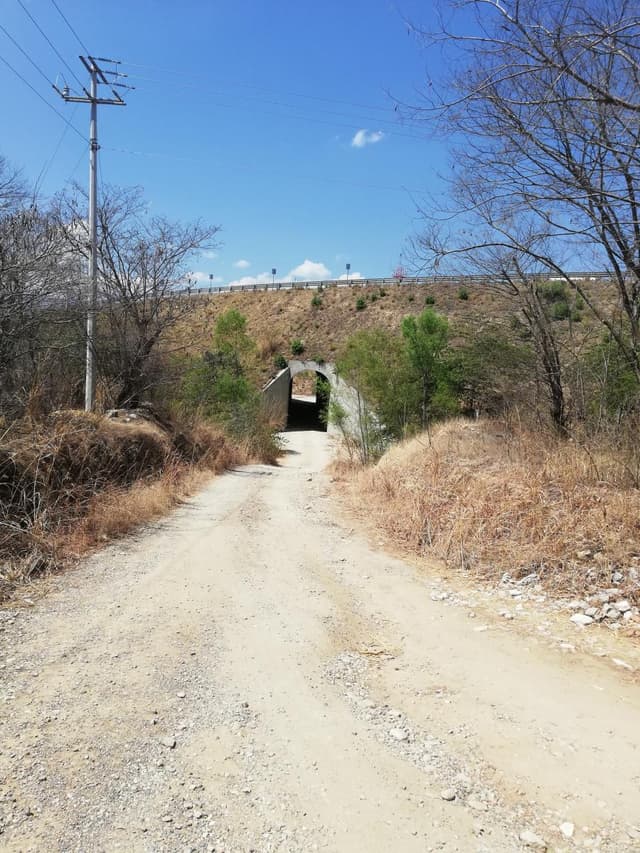 Se venden un terreno de 3 hectáreas