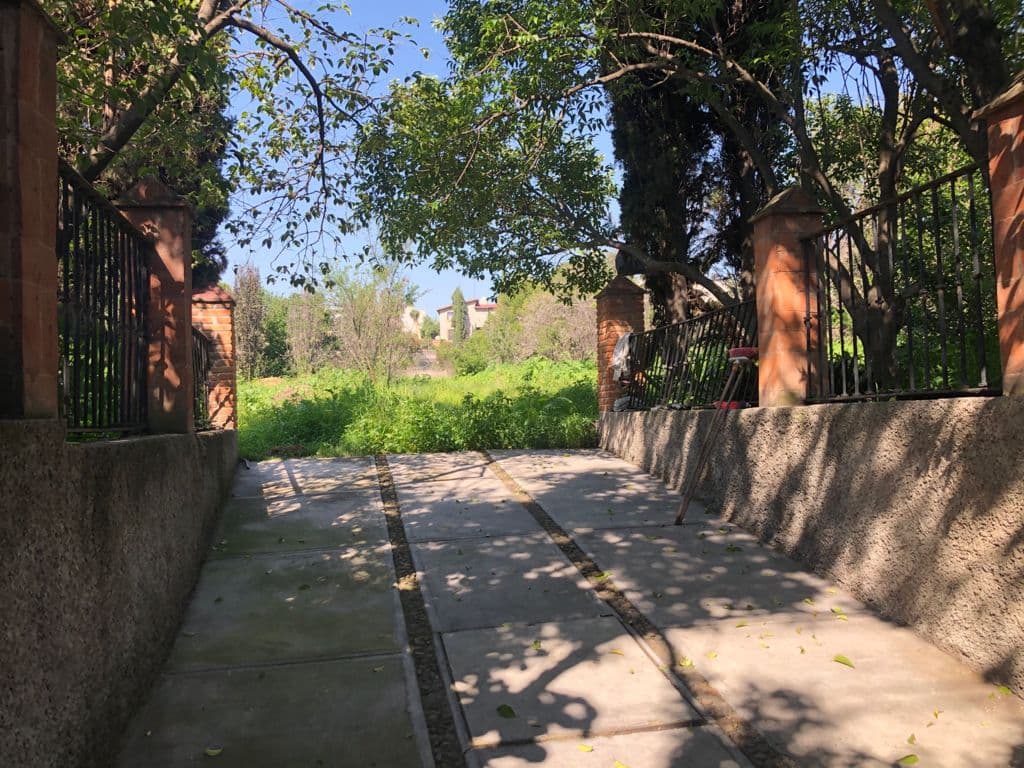 Fotos adicionales