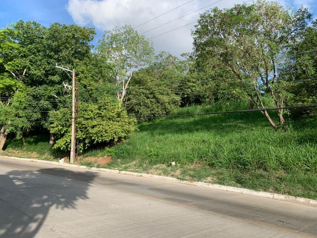 Terreno en Renta Lomas de Rosales