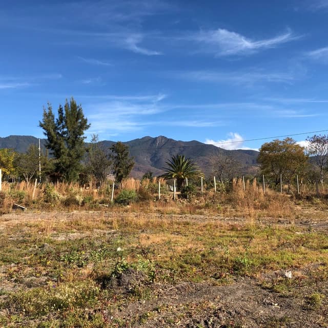 TERRENO EN VENTA EN TLALIXTAC