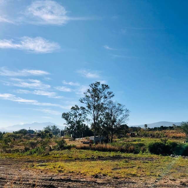 TERRENO EN VENTA EN TLALIXTAC