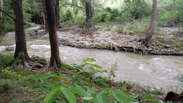Terreno campestre en La Morita, Montemorelos Nuevo León