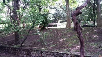 Fotos adicionales