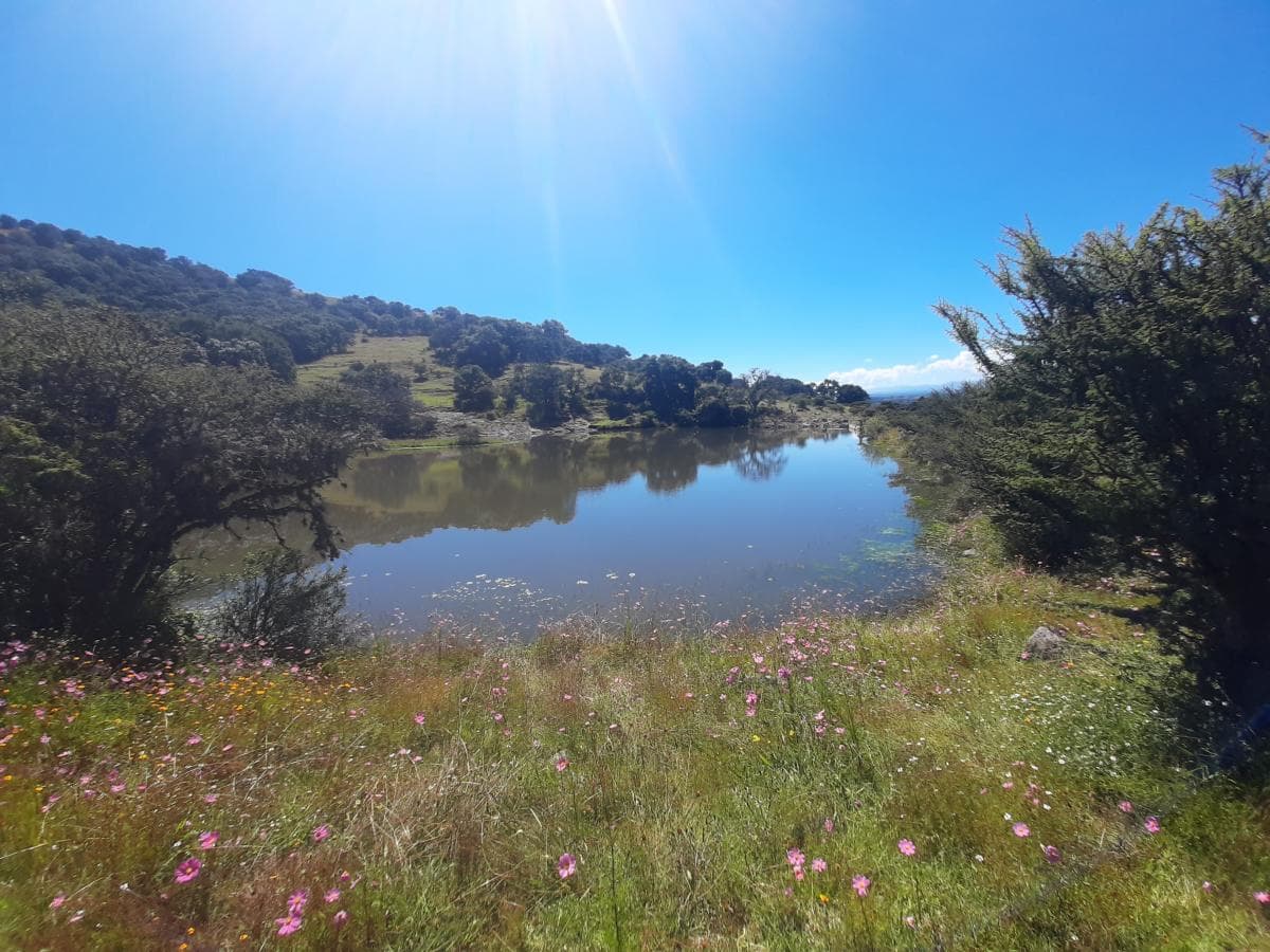 Fotos adicionales