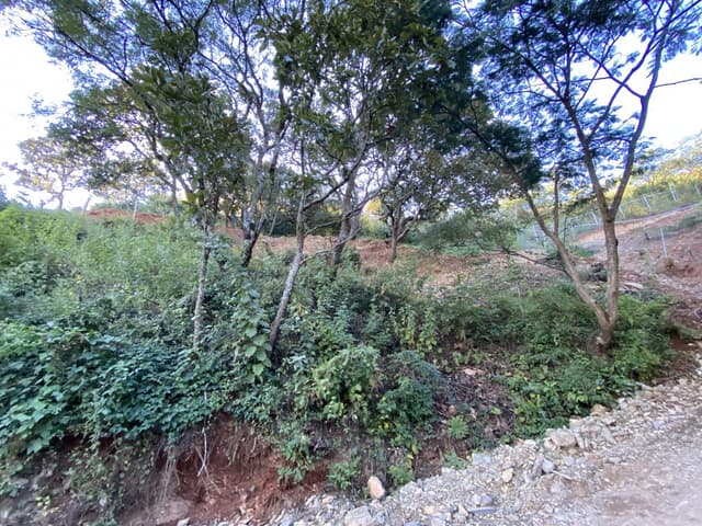 Terreno en venta