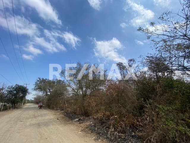 Excelente Terreno en Renta