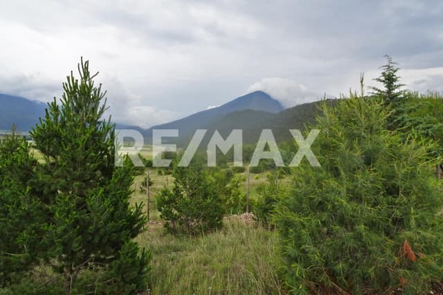 Terreno en Venta - 5