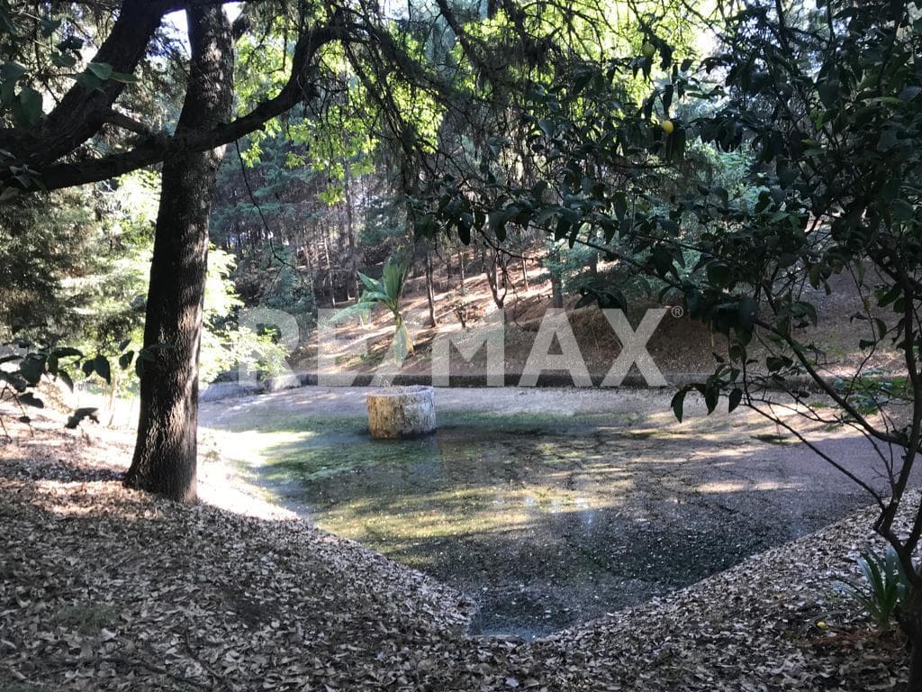 Fotos adicionales