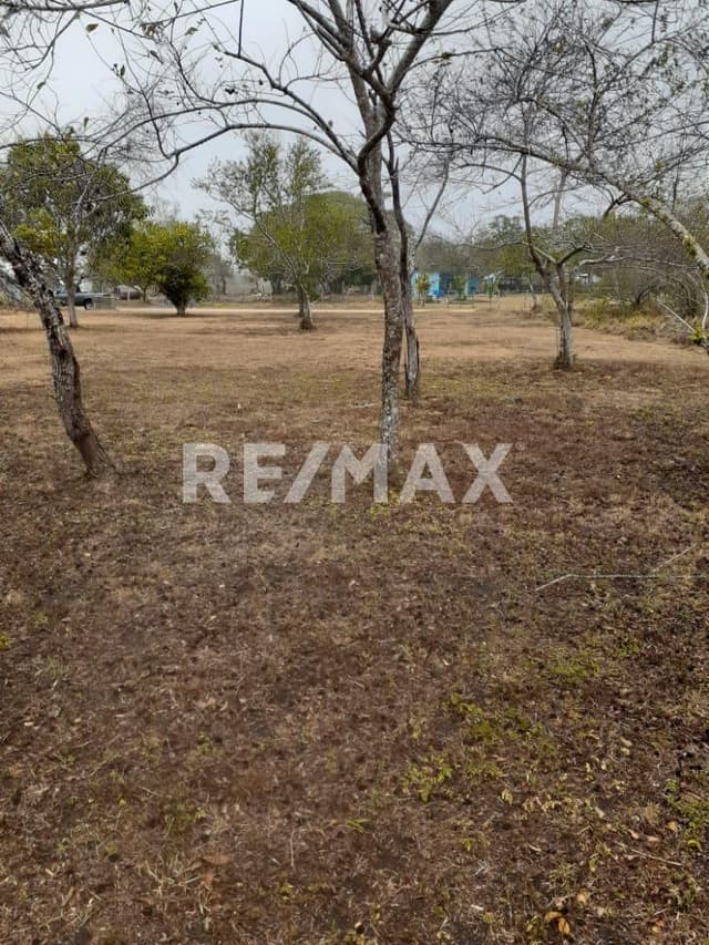 Terreno en venta Paraiso Tortuga