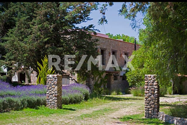 Terreno Viñedo Venta San Miguel de Allende