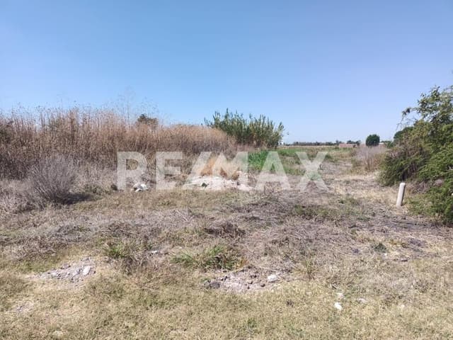 TERRENOS EN VENTA CELAYA FRENTE AL TEC DE MONTERREY