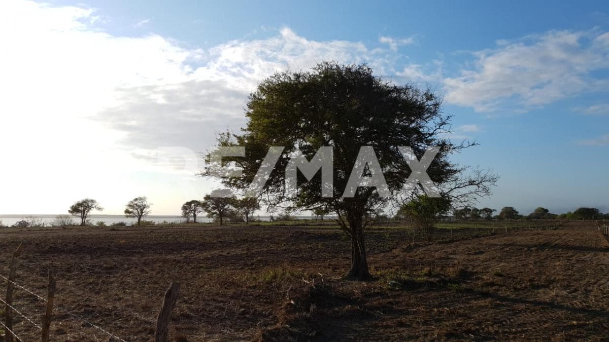 Fotos adicionales