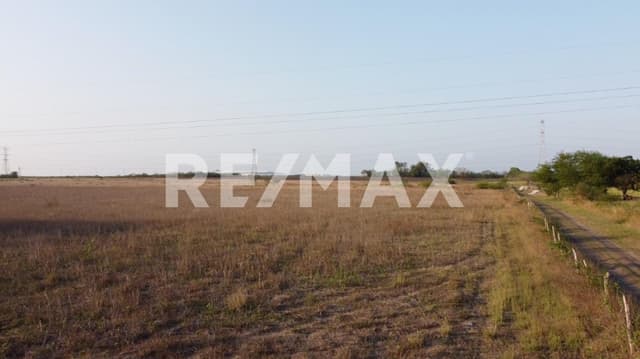 Terreno en Renta Santa Amalia