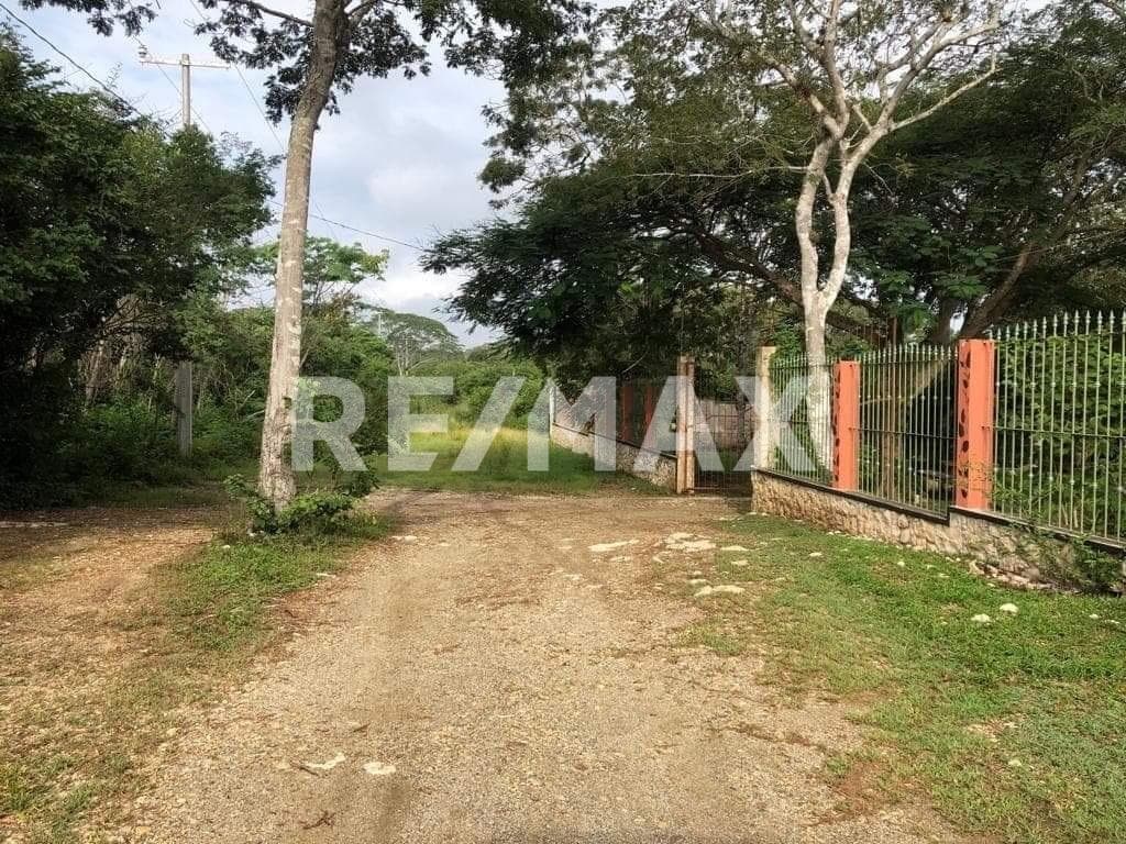 Fotos adicionales