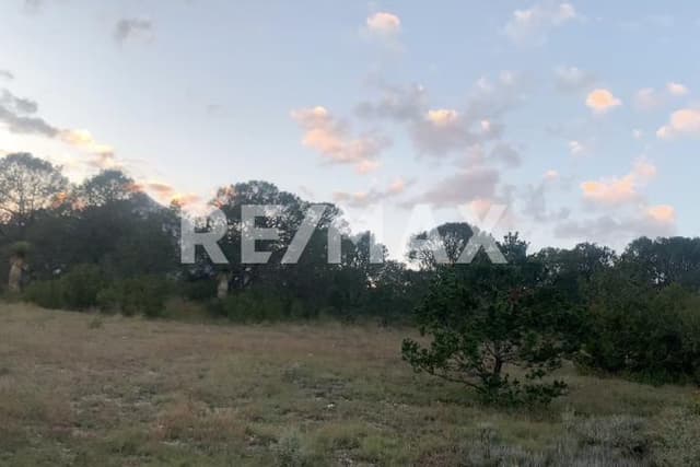 Terreno en Venta - 5